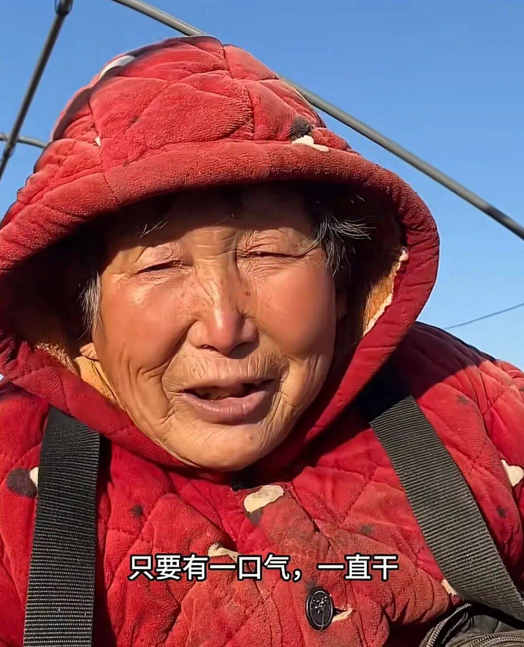 世界杯皇冠代理平台_河南69岁“红薯奶奶”轮椅上创业30余年世界杯皇冠代理平台，一年收益200多万，每年发出的工人工资至少60万